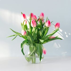 product 10